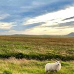 Photo taken by Mason G