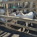 Photo taken by Beth M