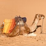 Photo taken by Diana G