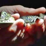 Photo taken by Graeme W