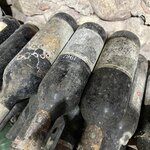 Photo taken by Michelle P