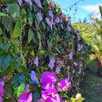 Photo taken by Brett F