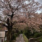 Photo taken by Marianne O