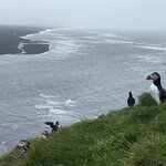 Photo taken by Amanda D