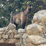 Photo taken by Kathleen S