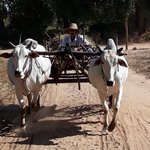 Photo taken by Michelle R