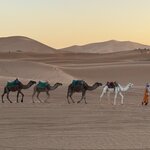 Photo taken by Reshma B