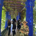 Photo taken by Paula H