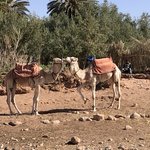 Photo taken by Susan D