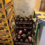 Photo taken by Judi W