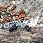 Photo taken by Samantha S