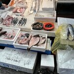 Photo taken by Kathleen N