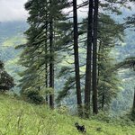 Photo taken by Jaybelyn C