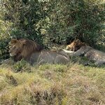 Photo taken by Julien C