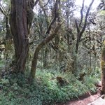 Photo taken by Kristin M