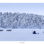 Photo taken by Ann B