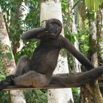 Photo taken by Peter F