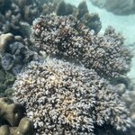 Photo taken by Jill M