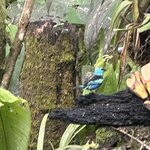 Photo taken by Mark A