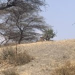 Photo taken by Kristin M