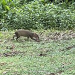 Photo taken by Hannah S