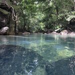 Photo taken by Sheila G