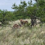 Photo taken by Yin Ling K