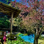 Photo taken by Diego U