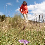 Photo taken by Marcia G