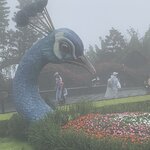 Photo taken by Ricky B