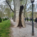 Photo taken by Lori H