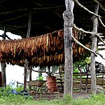 Photo taken by Linda M