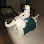 Photo taken by Diego B