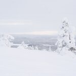 Photo taken by Raylene C