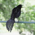 Photo taken by Dawne D