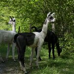 Photo taken by Eric T