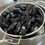 Photo taken by Michele B