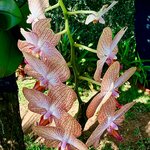 Photo taken by Mary D