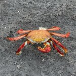 Photo taken by Mark A