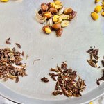 Photo taken by Pacita D