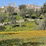 Photo taken by Hillel S