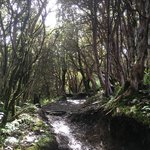 Photo taken by Joanna K