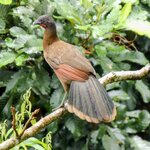 Photo taken by Brett F