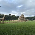 Photo taken by Fuad A