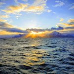 Photo taken by Ronnie B