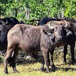 Photo taken by Kaye D