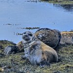 Photo taken by Scott C