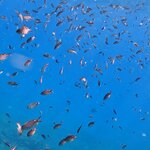 Photo taken by Jason C