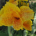 San Agustin | Photo taken by Peter G