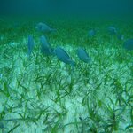 Photo taken by LaTasha J